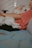 white short coated small sized dog lying on blue textile