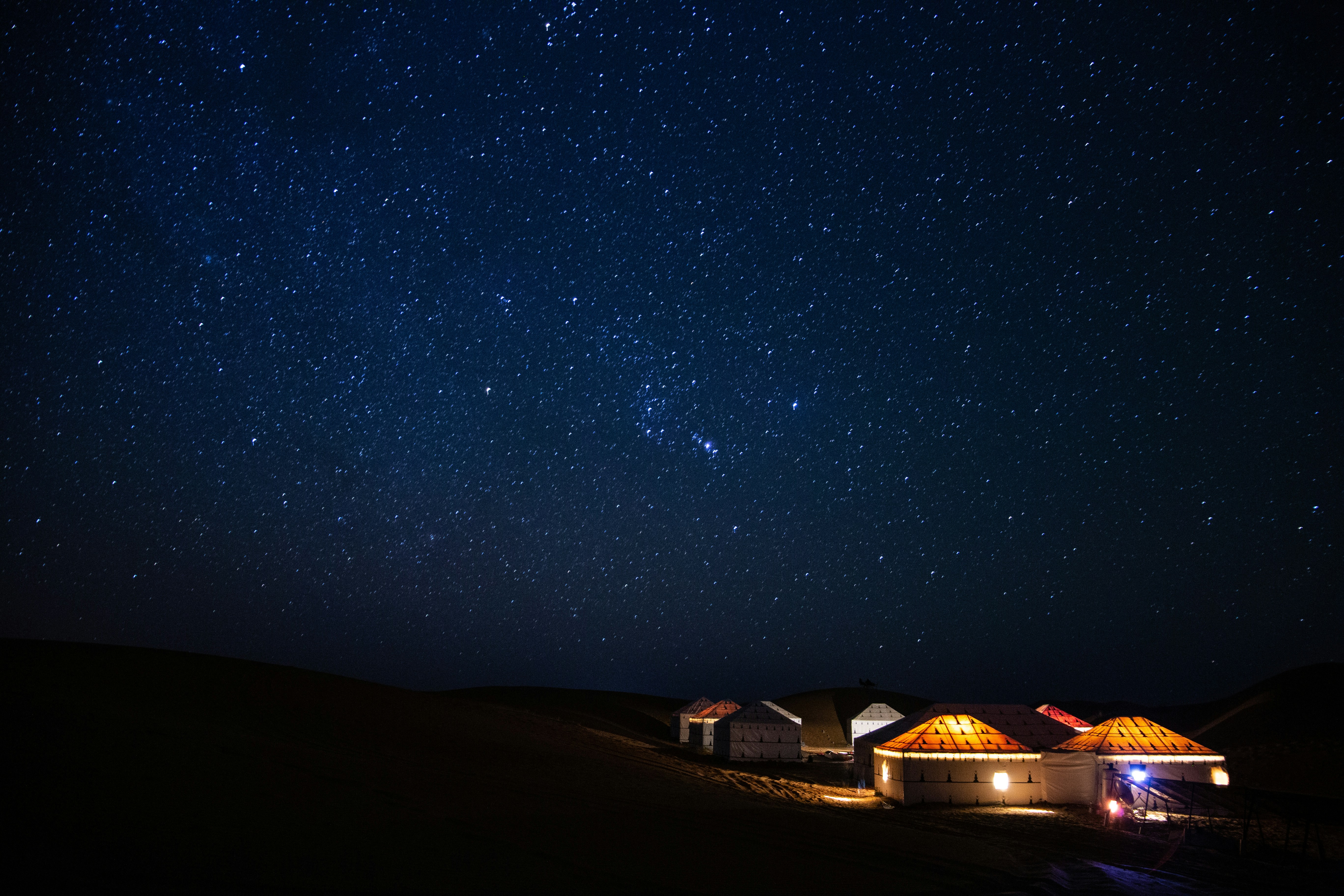夏日新疆：花海、草原與星空的極致浪漫