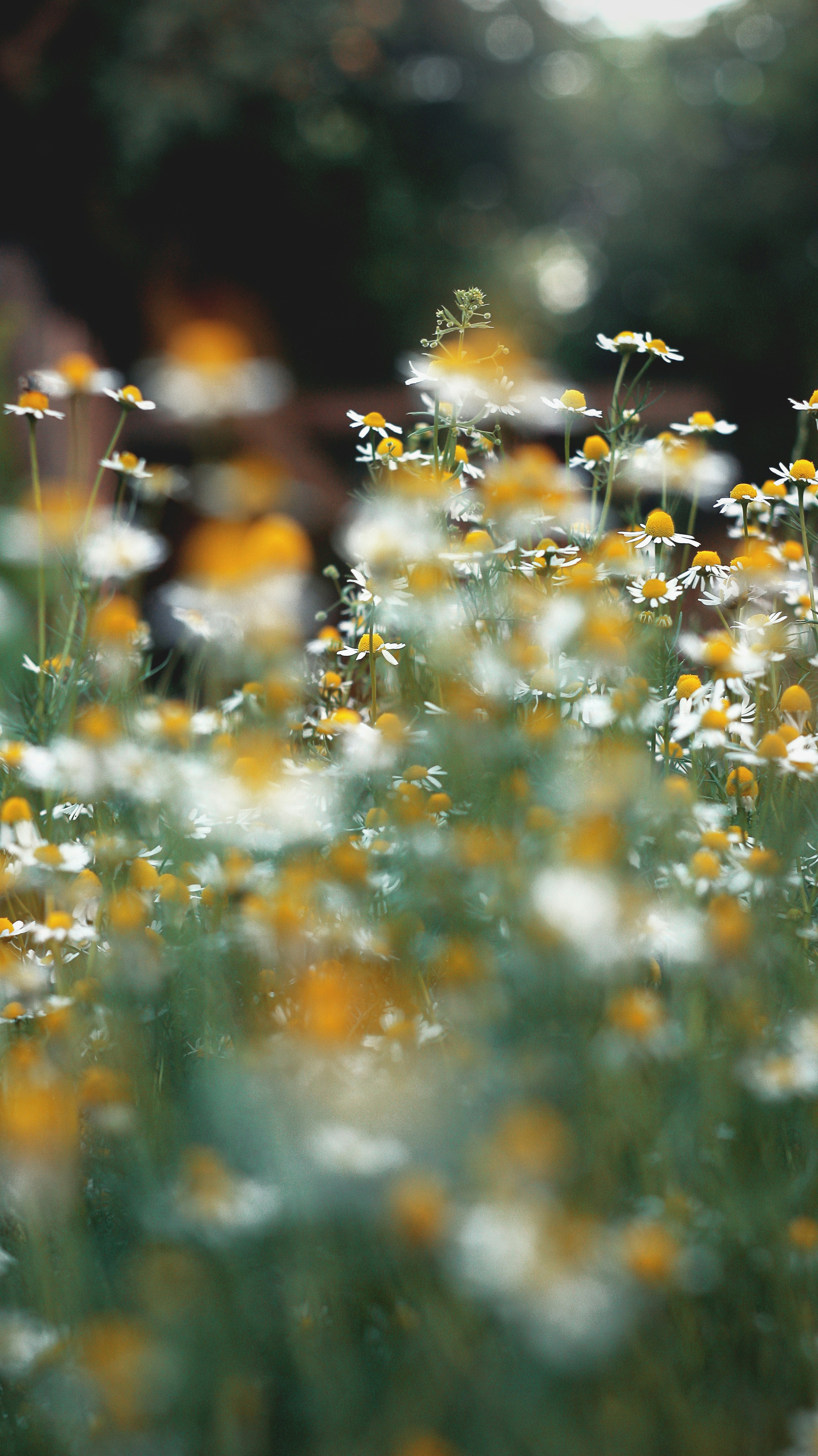 Photo by iamfrancismorgan