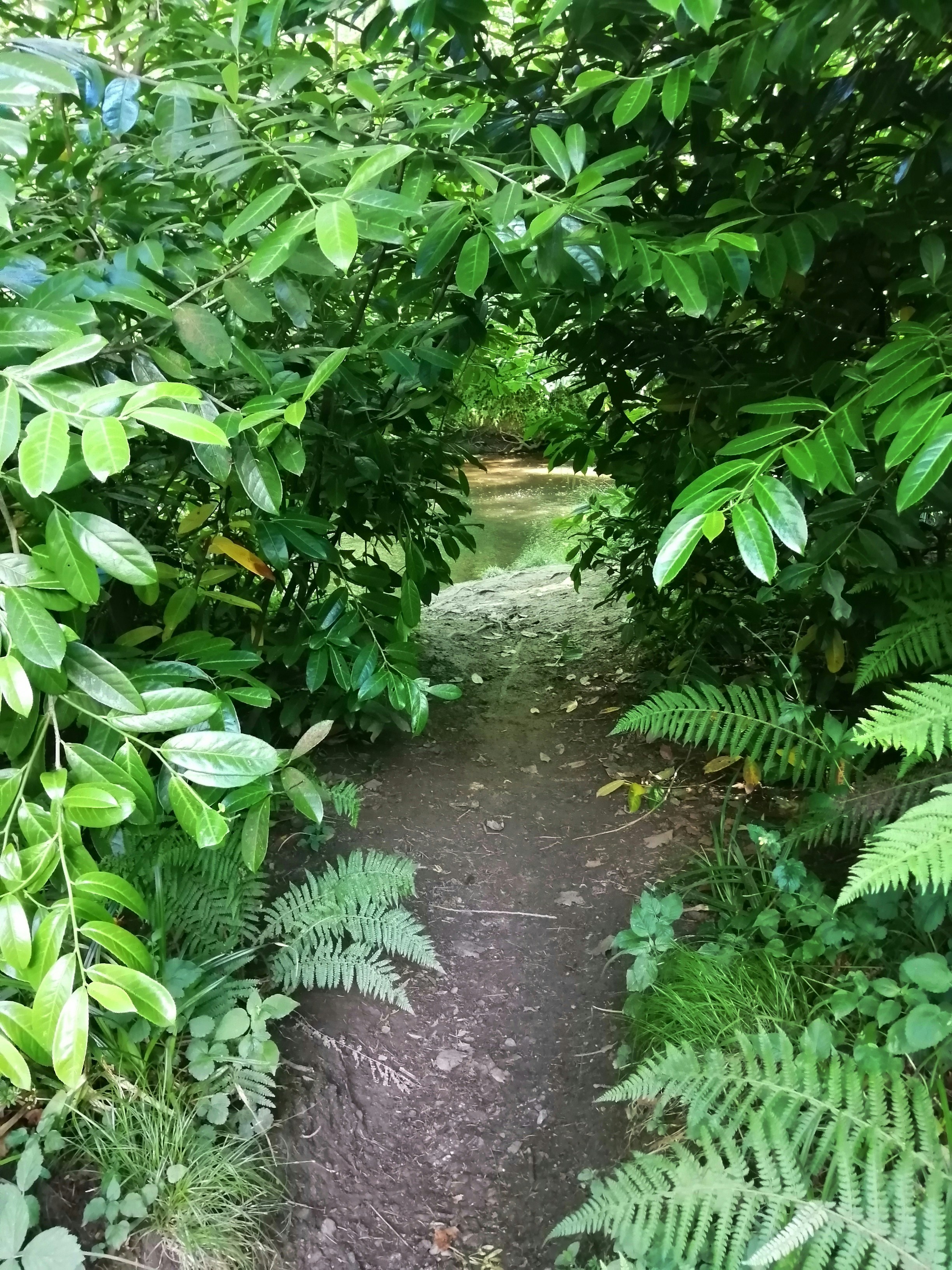 photo 1592173938463 1546a10f1930?ixlib=rb 4.0