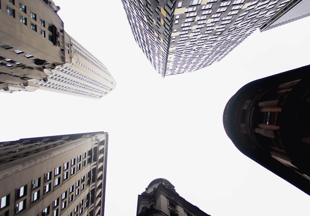 low angle photography of high rise buildings