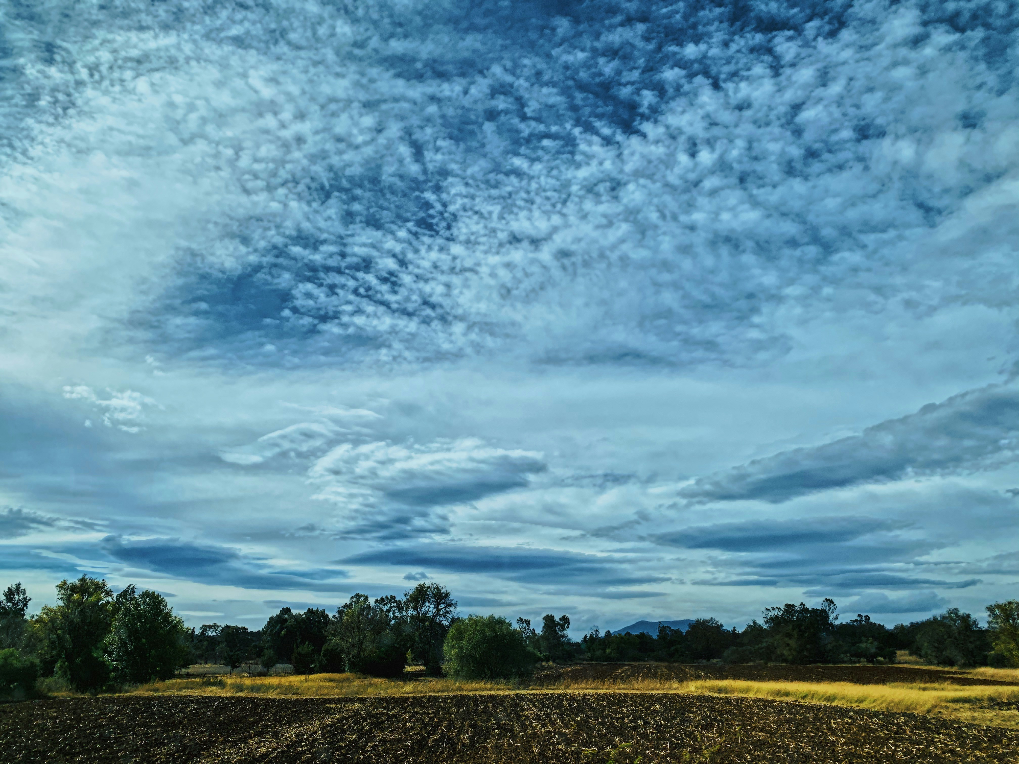 Photo by mariagarza