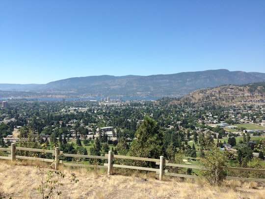 green trees on mountain under blue sky during daytime in Kelowna Canada
