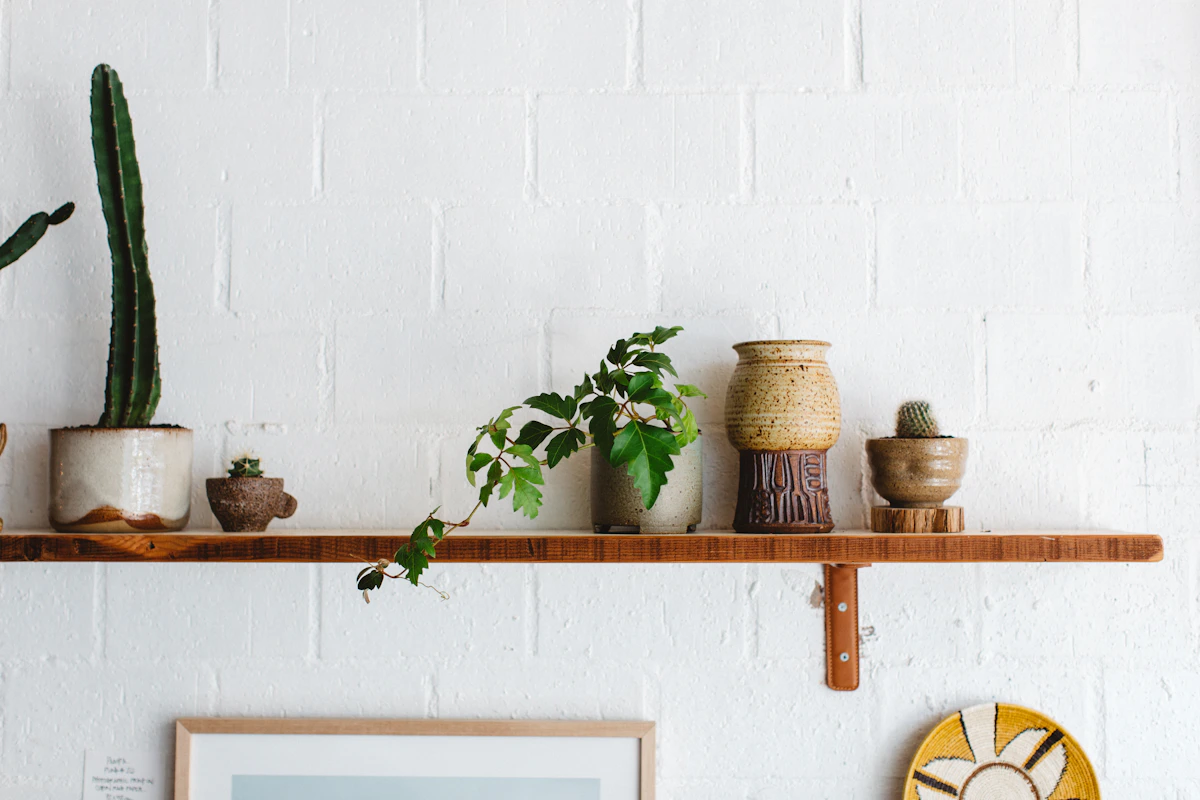 Natural home styling with ceramic decor displayed on warm wooden shelving
