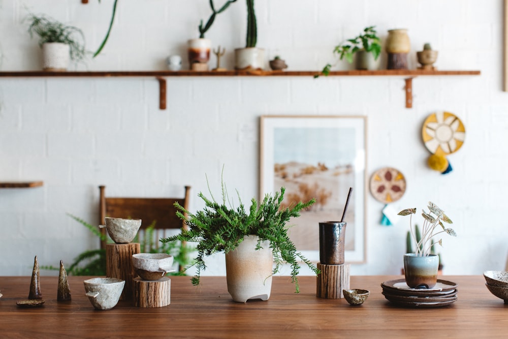 green plant on white ceramic pot