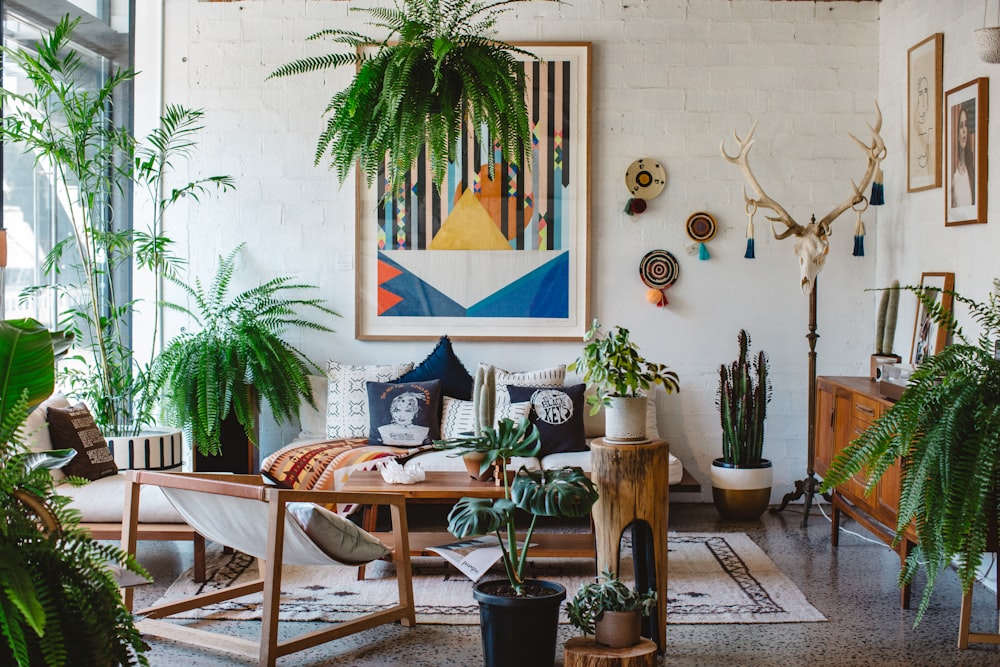 green potted plant on brown wooden table