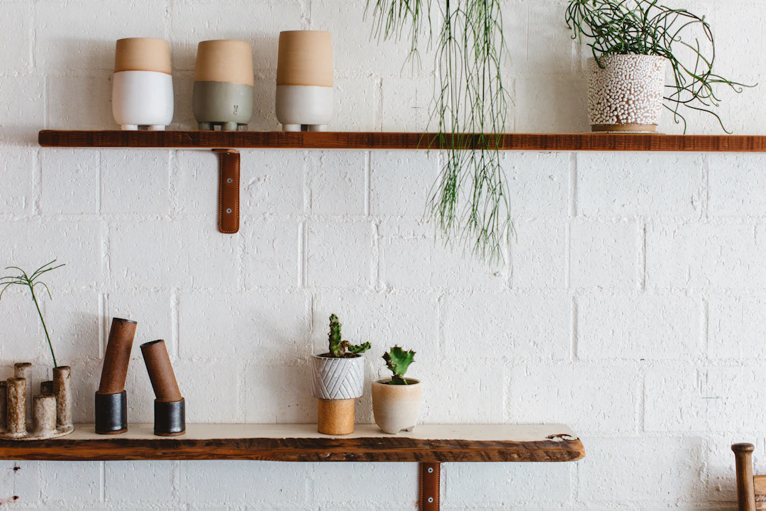 Handmade ceramic cups and small plants on wooden shelves against a white brick wall