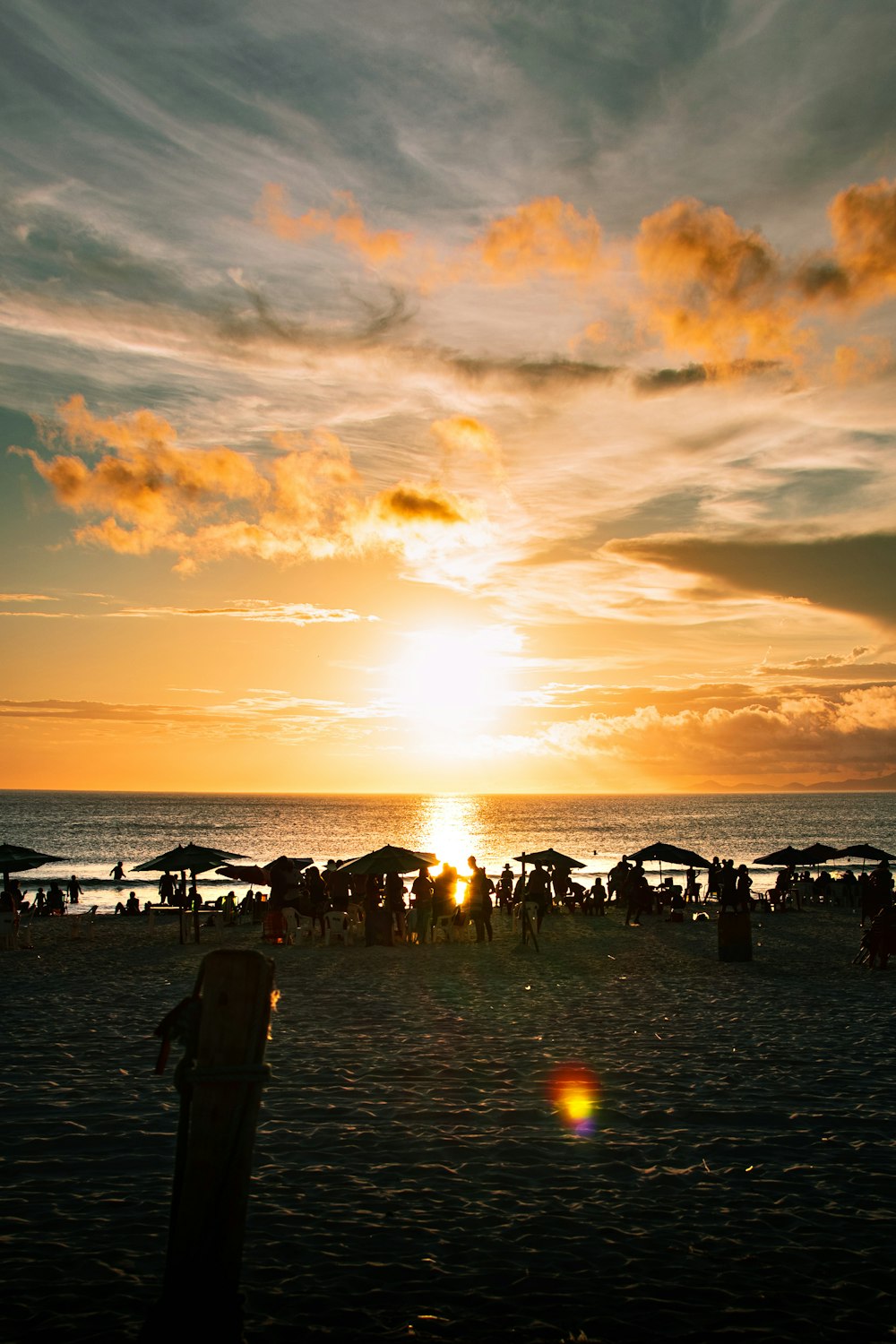 people on beach during sunset