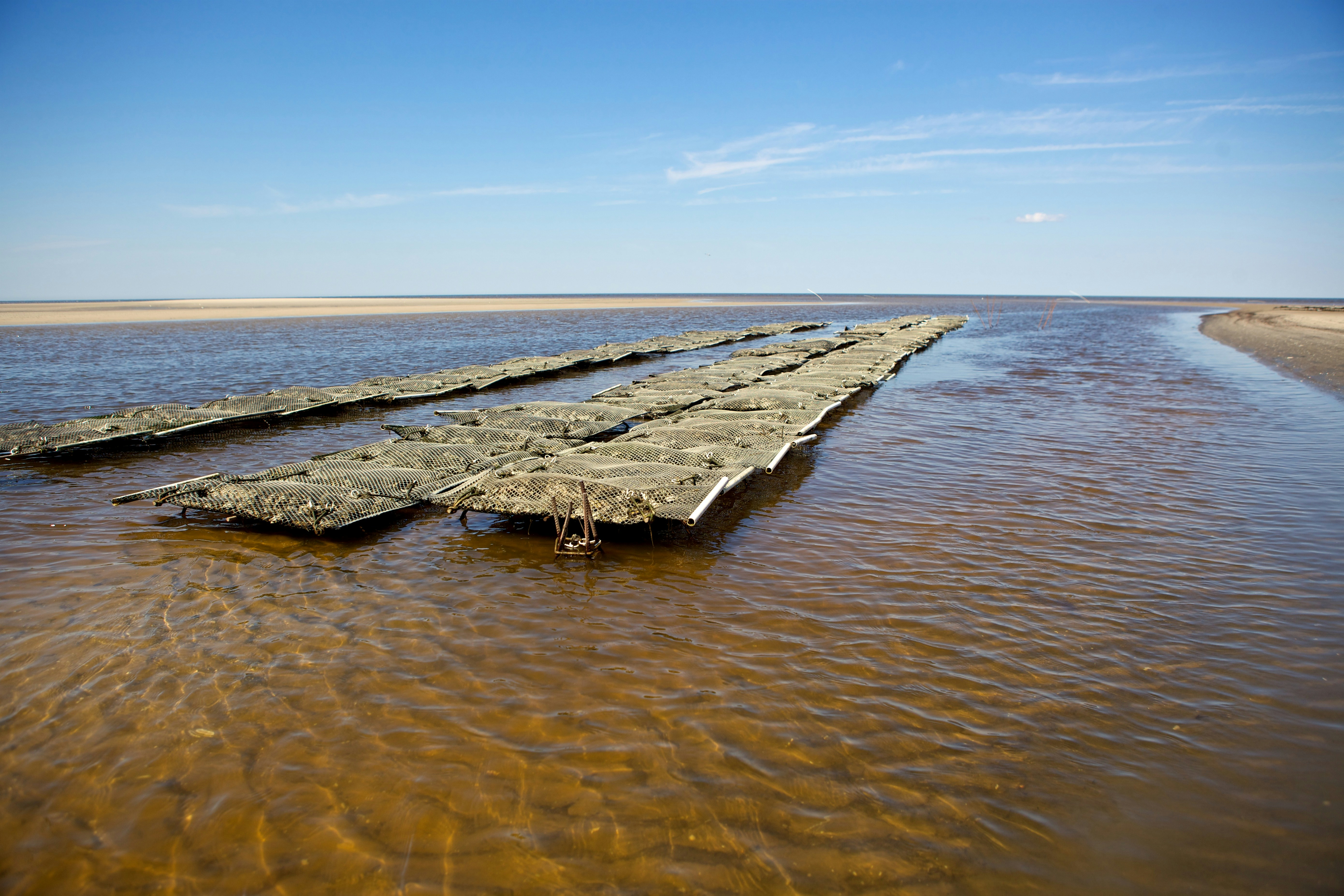 brown wooden dock on sea under blue sky during daytime
