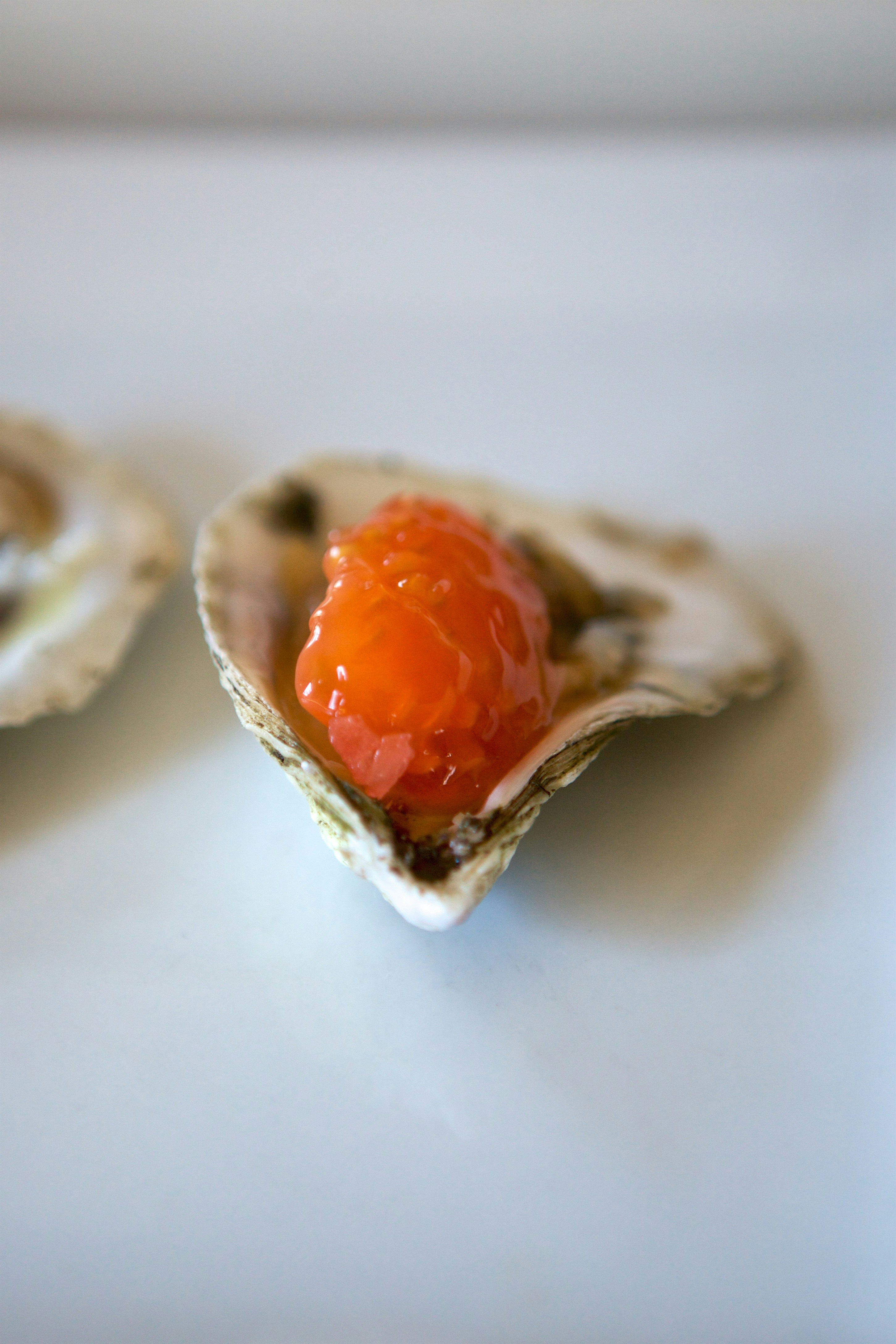 Photo by davidtoddmccarty