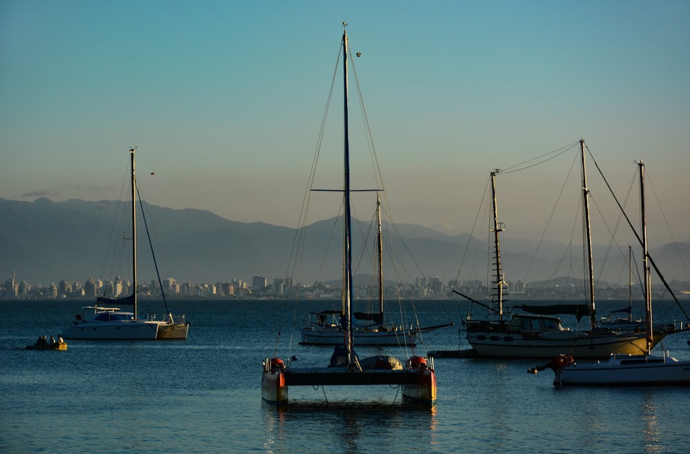 Personas que viajan en barco durante el día