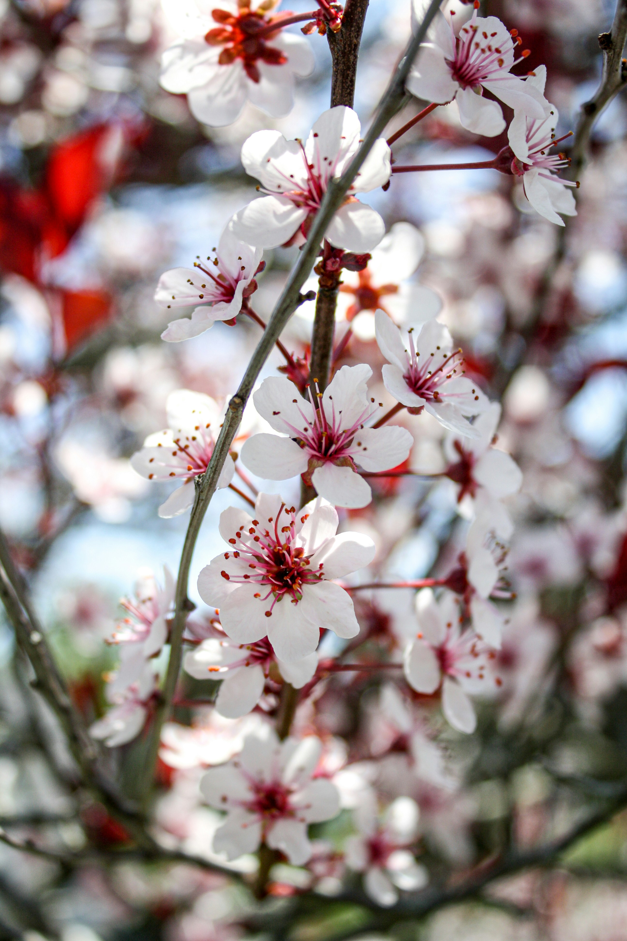 Photo by jasminesienna