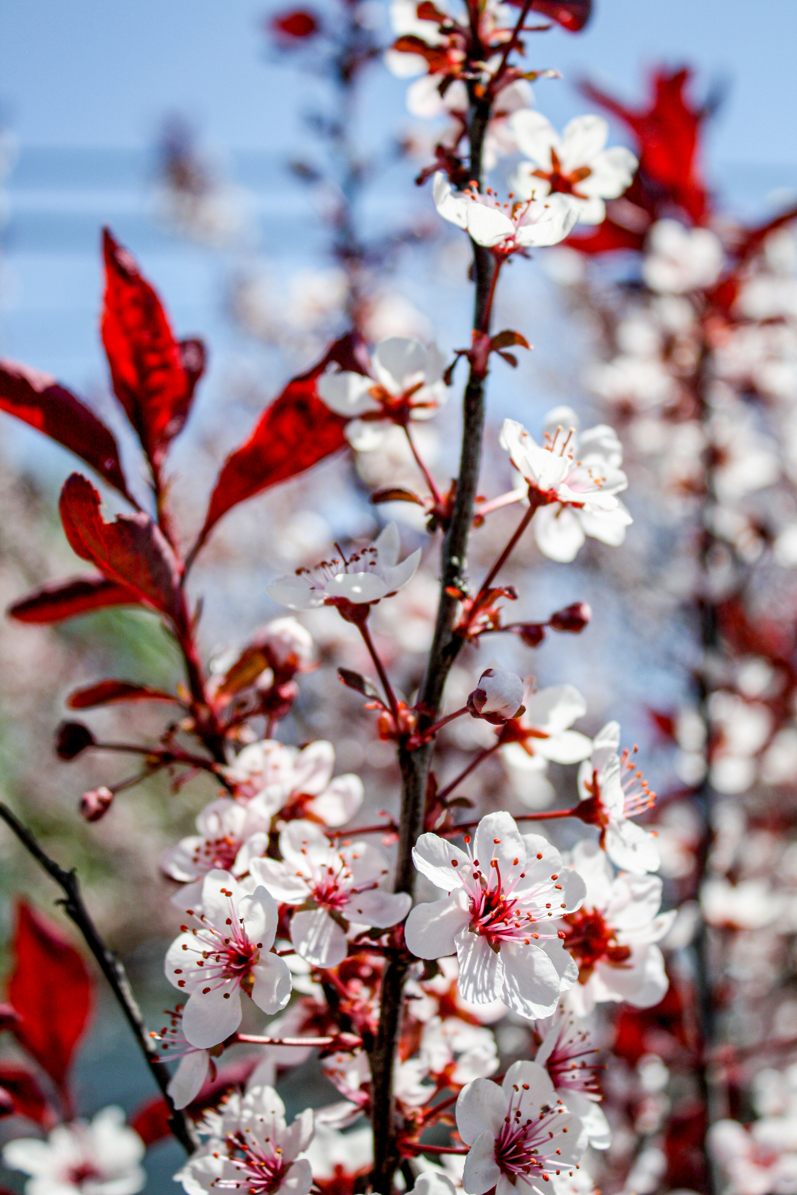 Photo by jasminesienna