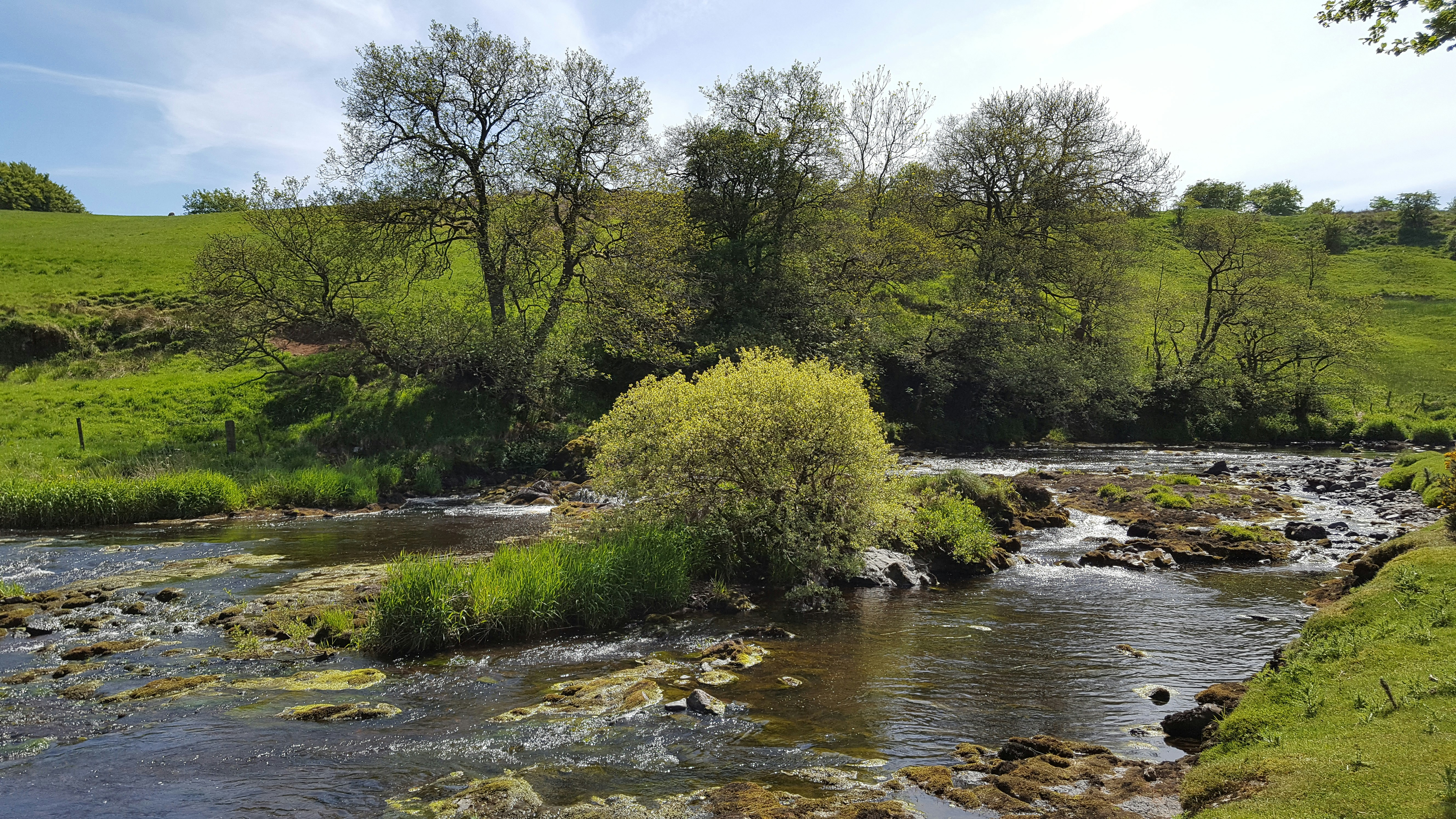 Photo by littlepiscesdreaming