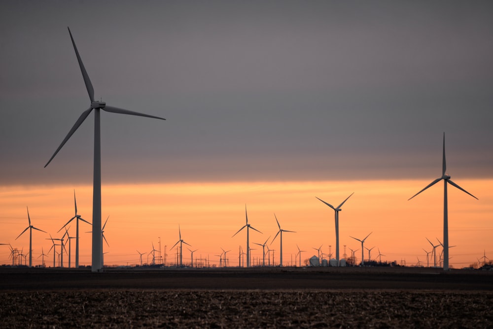 wind turbines on brown field during sunset