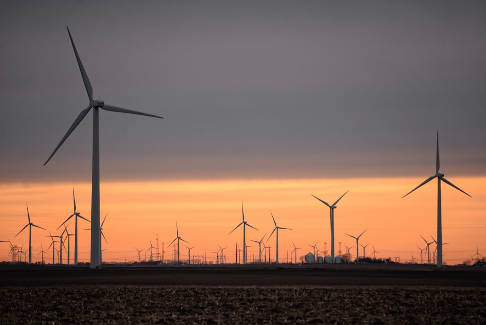 Turbinas eólicas en Brown Field durante la puesta de sol