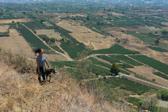 Farmer reviewing data on a tablet with fields in the background.