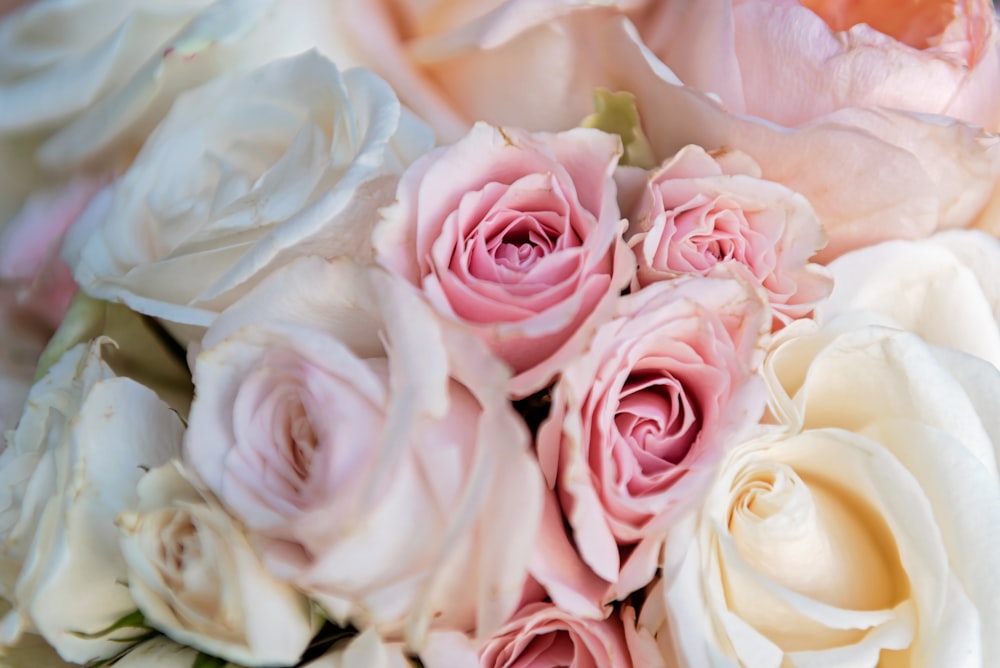 white and pink rose bouquet