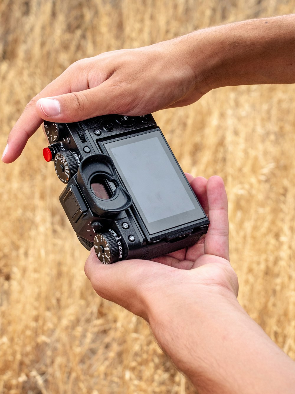 person holding black point and shoot camera