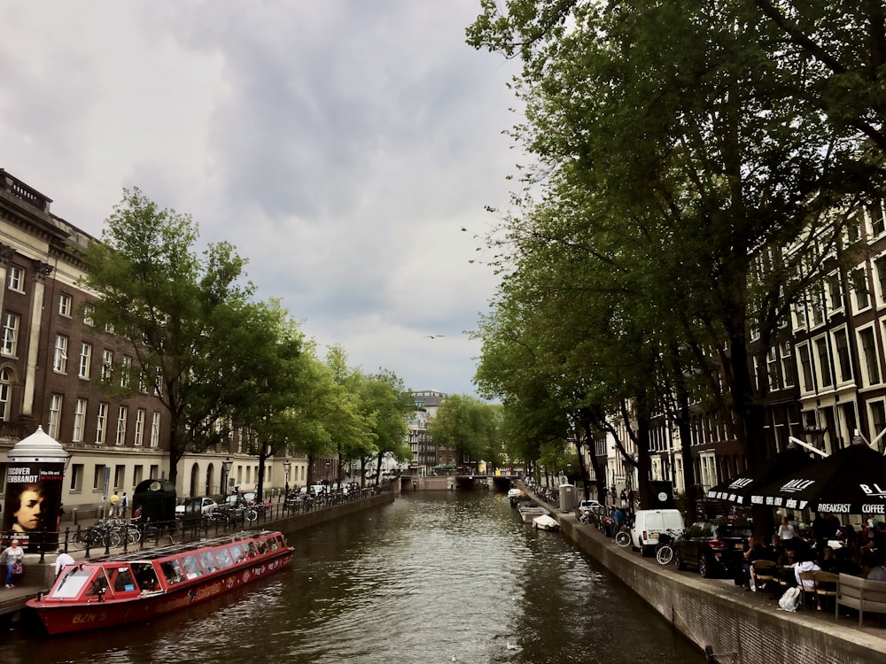 red boat on river near green trees during daytime