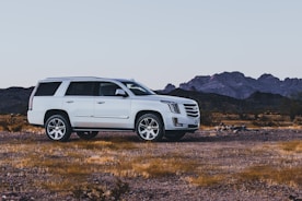 white suv on brown field during daytime