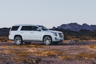 white suv on brown field during daytime