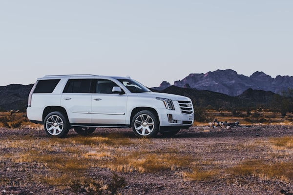 2015 m. Cadillac Escalade apžvalga