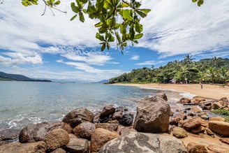 brown rocks near body of water during daytime