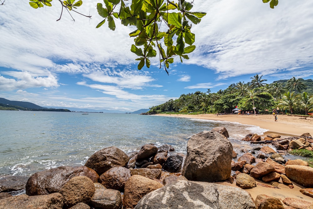 brown rocks near body of water during daytime