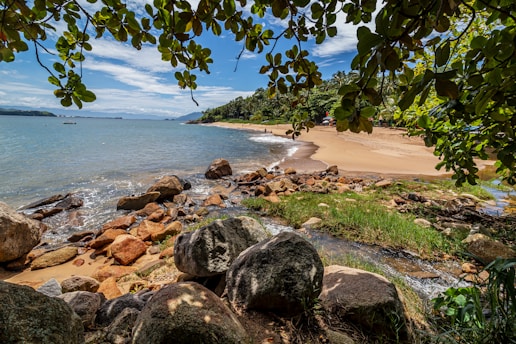 brown rocks on seashore during daytime