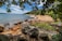 brown rocks on seashore during daytime
