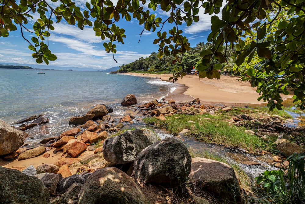 brown rocks on seashore during daytime