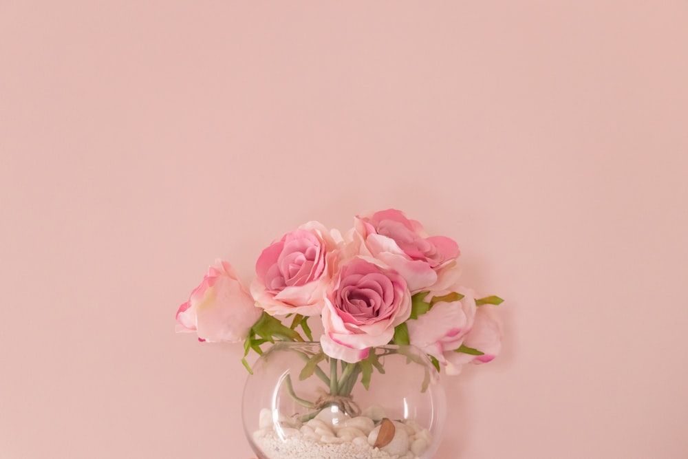 pink roses in clear glass vase