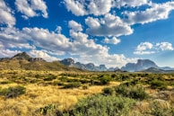 green grass field near mountains under blue sky and white clouds during daytime