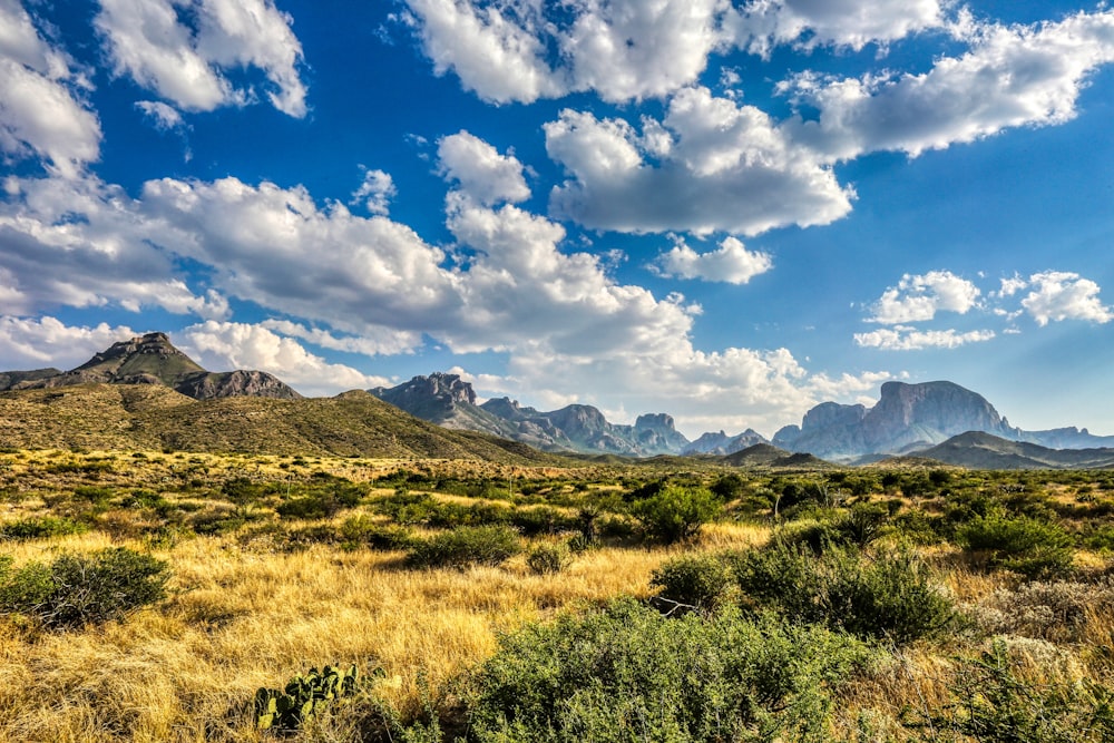 green grass field near mountains under blue sky and white clouds during daytime