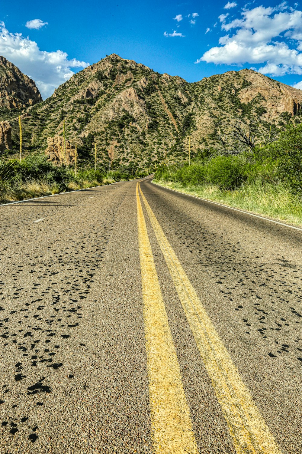 gray concrete road between green trees during daytime