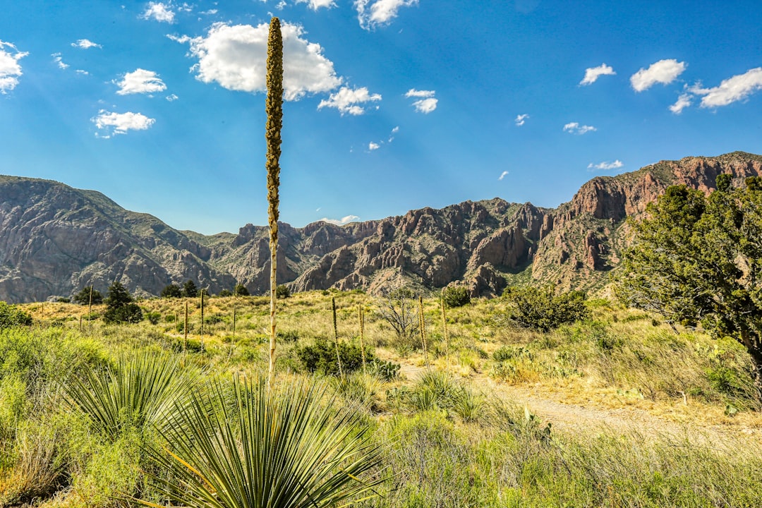 7 Underrated Yet Surprisingly Livable Texas