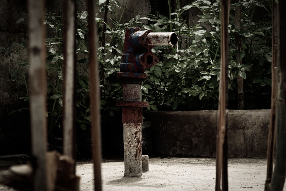 a red and blue fire hydrant sitting in the middle of a forest