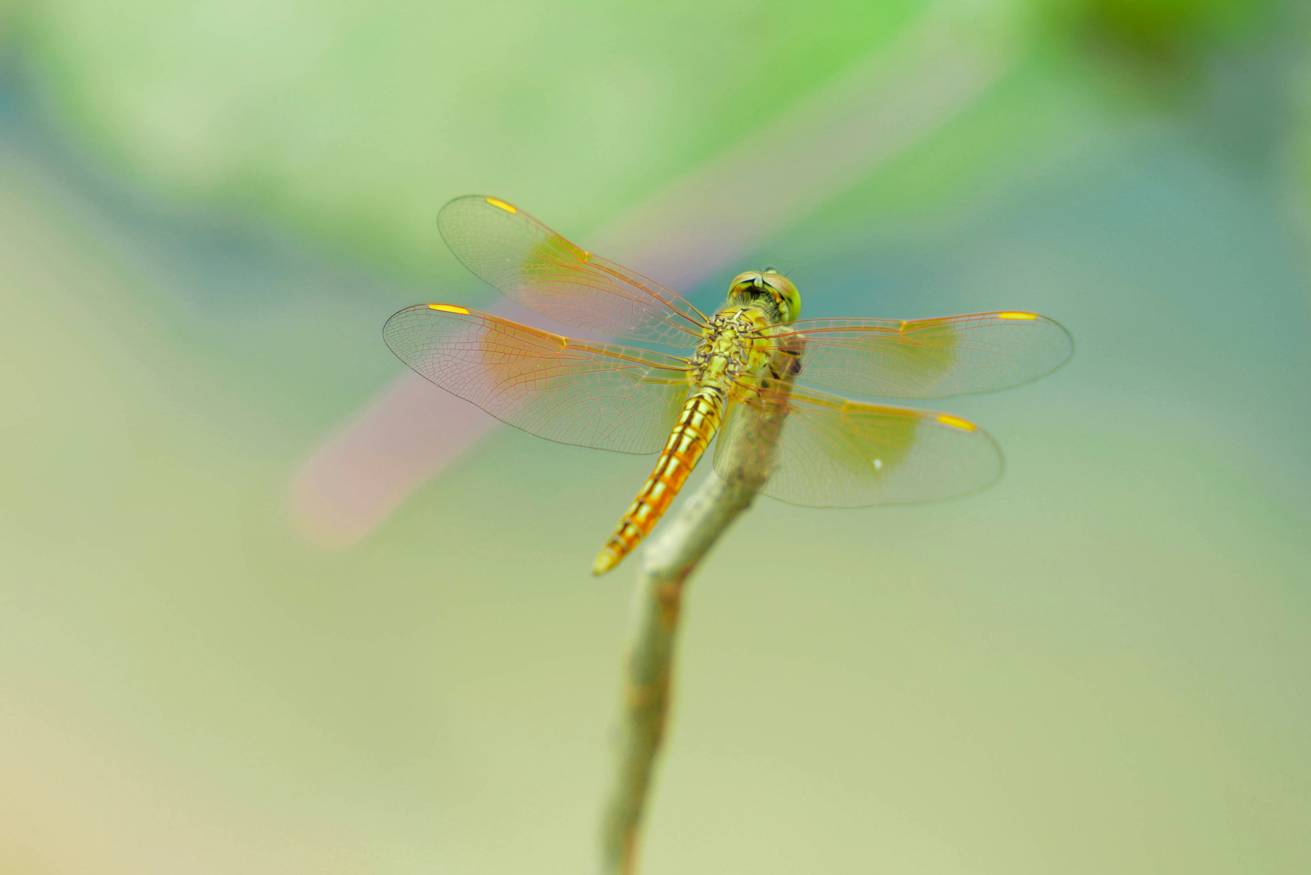 Photo by vignesh_photogrphy