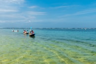 Group of people enjoying kayaking on clear blue waters under a sunny sky.