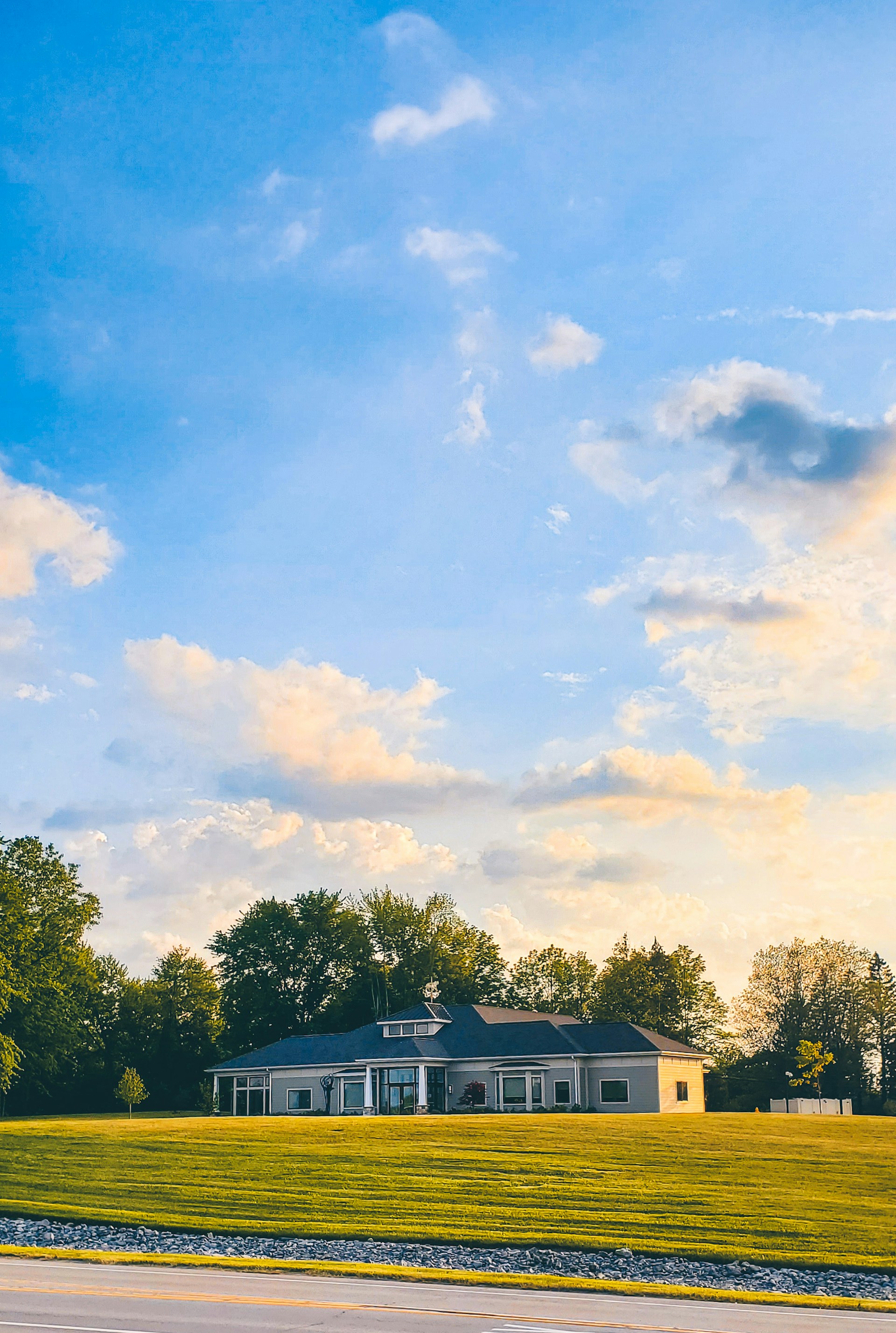 black and brown leather padded tub sofa