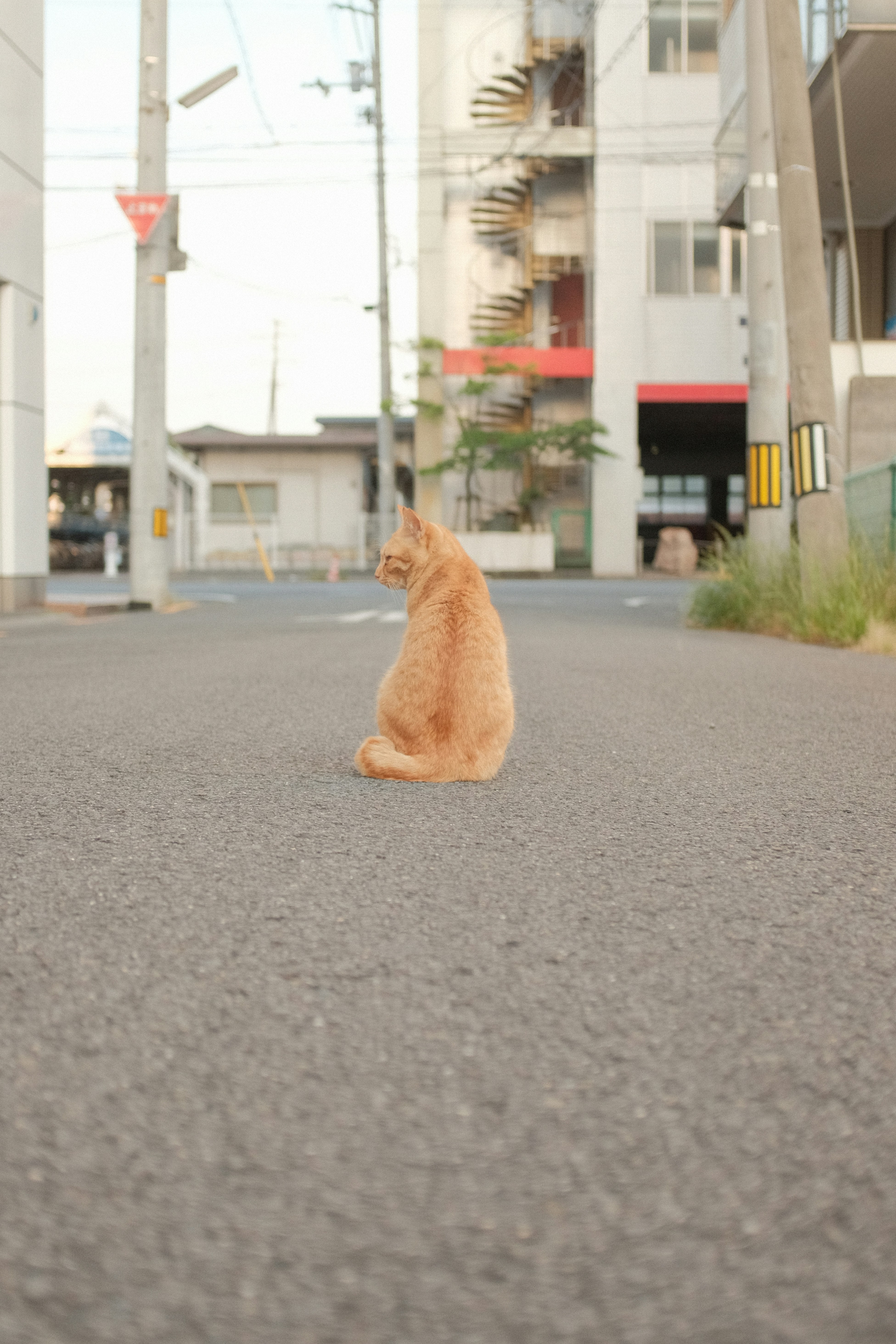 Embracing the Extraordinary (image credits: unsplash)