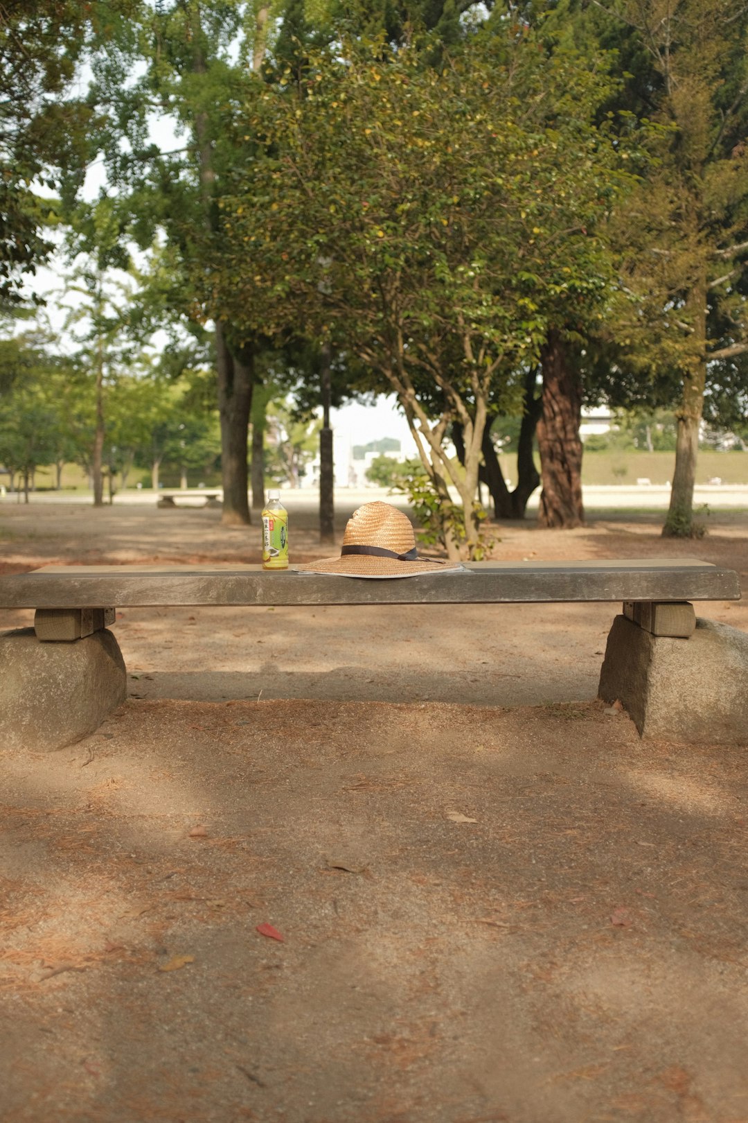 brown wooden bench near green trees during daytime