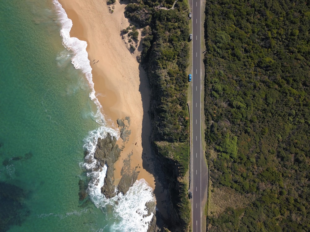 aerial view of green trees near body of water during daytime