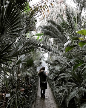 A person walks through a lush, green conservatory filled with various tropical plants and palm trees. The path is made of bricks and is surrounded by dense foliage. Soft, natural light filters through the glass ceiling, illuminating the greenery.