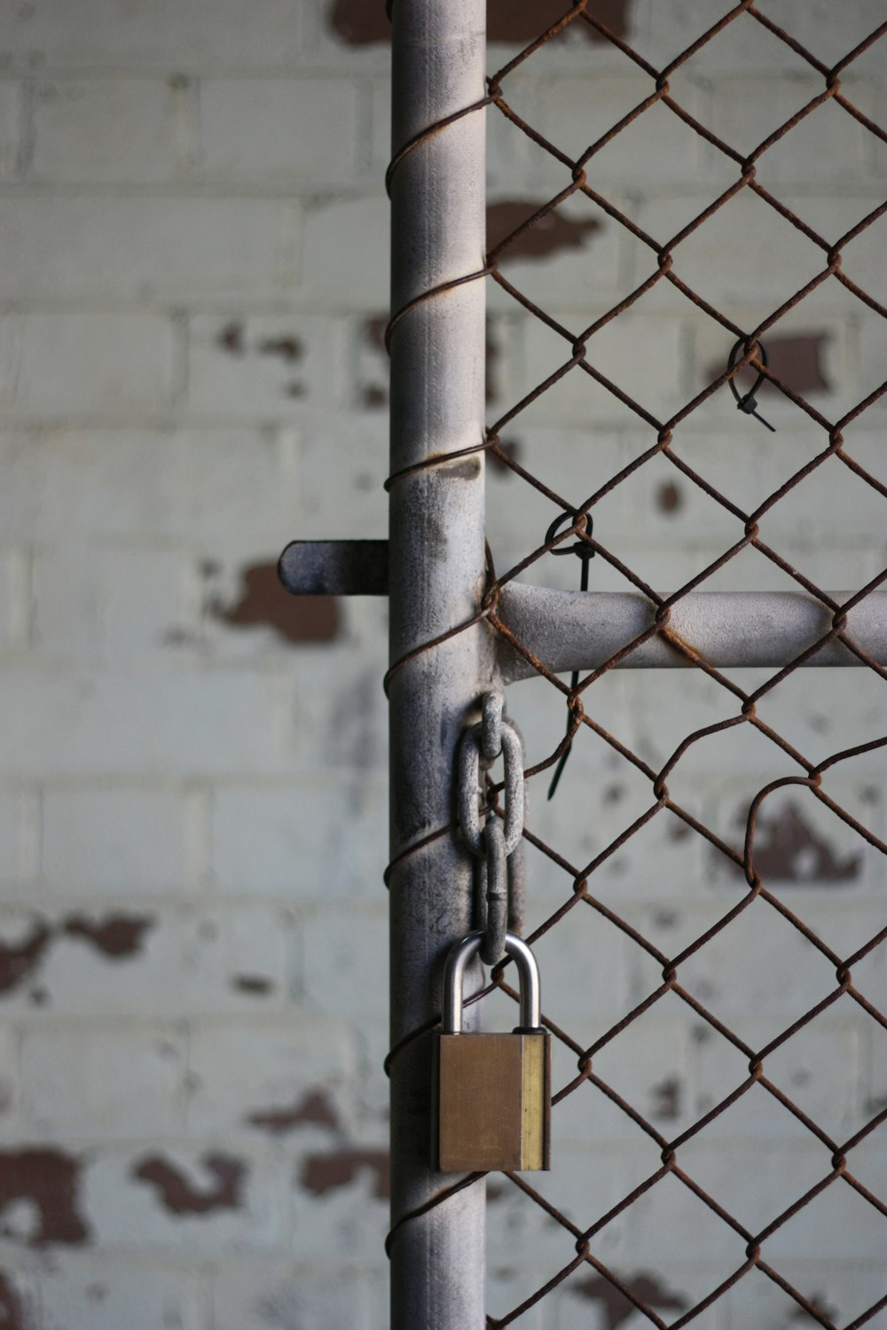 grey metal chain link fence with padlock