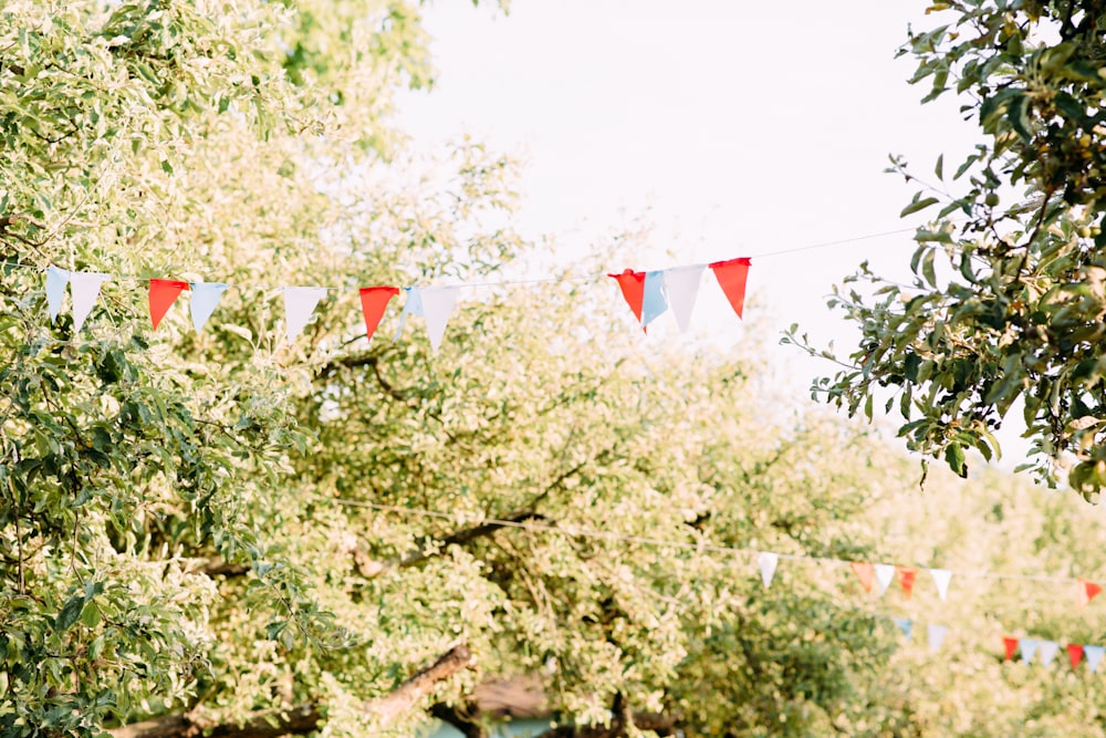 flags on poles on green trees during daytime