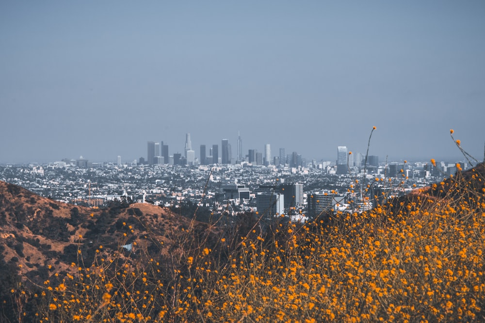 city skyline under gray sky during daytime