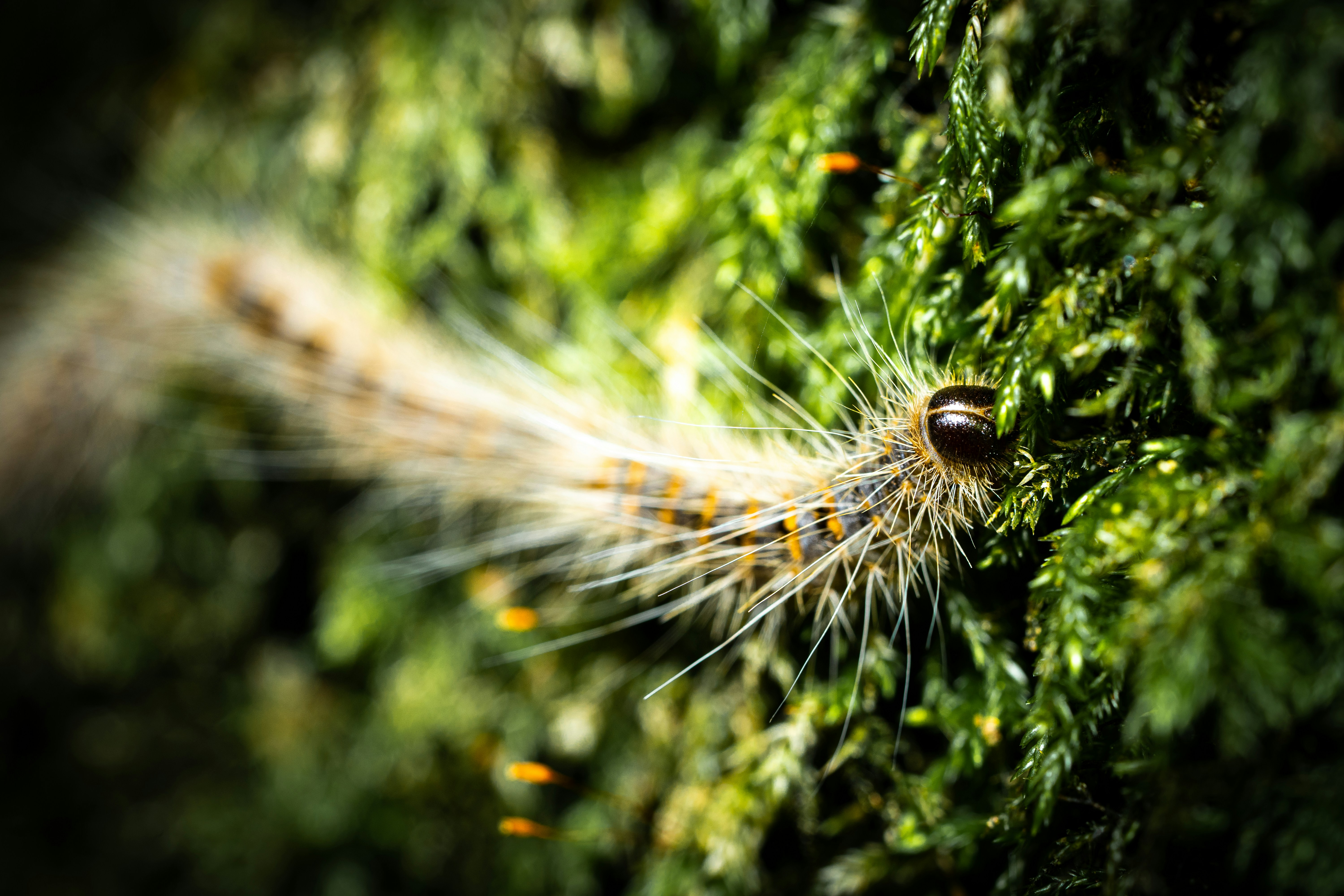 Discovering Gretz-Armainvilliers: A Day of Charm and Exploration