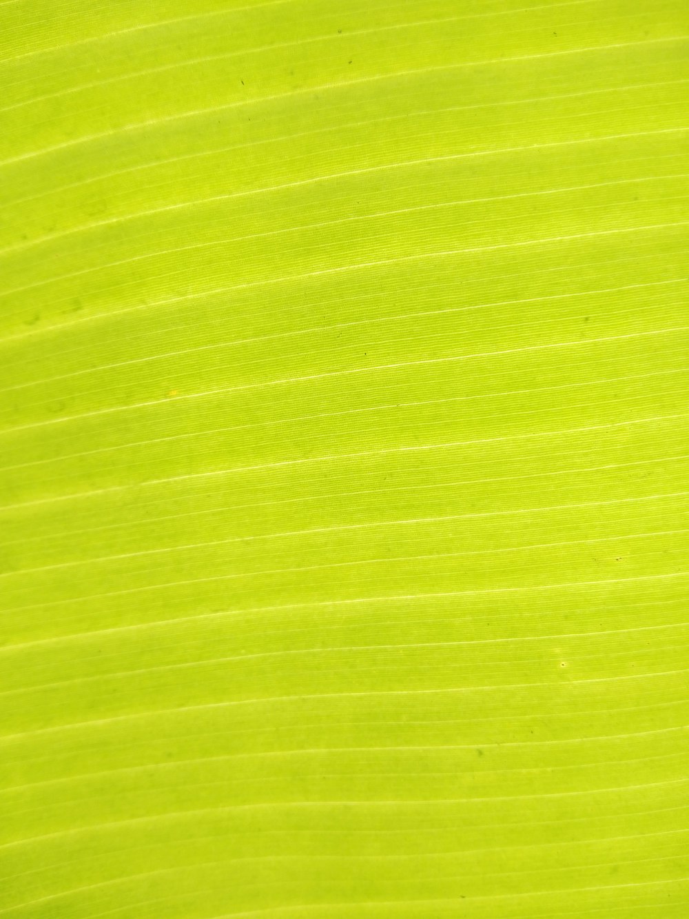 green and white striped textile